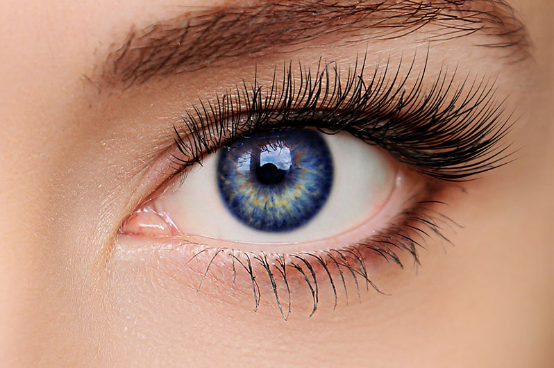 Ramon's Hair Design Eyelash Tinting Services